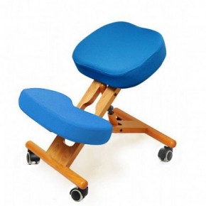 Коленный стул Smartstool KW02 + Чехлы в Тавде - tavda.mebel-74.com | фото