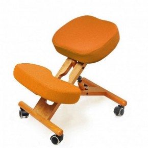 Коленный стул Smartstool KW02 + Чехлы в Тавде - tavda.mebel-74.com | фото