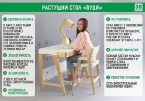 Комплект растущий стол и стул 38 попугаев «Вуди» (Серый, Без покрытия) в Тавде - tavda.mebel-74.com | фото