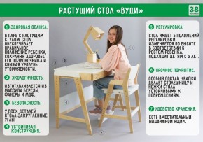Комплект растущий стол и стул с чехлом 38 попугаев «Вуди» (Белый, Береза, Ромбы) в Тавде - tavda.mebel-74.com | фото