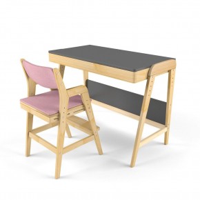 Комплект растущий стол и стул с чехлом 38 попугаев «Вуди» (Серый, Береза, Розовый) в Тавде - tavda.mebel-74.com | фото