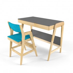 Комплект растущий стол и стул с чехлом 38 попугаев «Вуди» (Серый, Без покрытия, Лазурь) в Тавде - tavda.mebel-74.com | фото