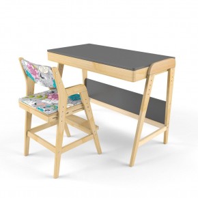 Комплект растущий стол и стул с чехлом 38 попугаев «Вуди» (Серый, Без покрытия, Мечта) в Тавде - tavda.mebel-74.com | фото