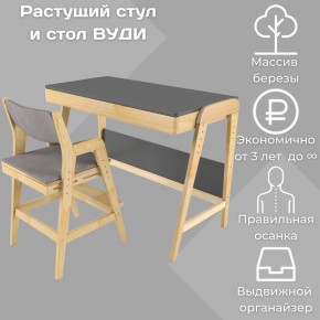 Комплект растущий стол и стул с чехлом 38 попугаев «Вуди» (Серый, Без покрытия, Серый) в Тавде - tavda.mebel-74.com | фото