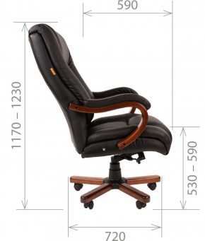 Кресло для руководителя CHAIRMAN  503 (Кожа) Черное в Тавде - tavda.mebel-74.com | фото