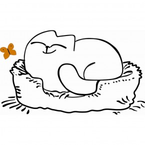 Кровать двухуровневая Кот № 900.1 ЛЕВАЯ (туя светлая/белый) в Тавде - tavda.mebel-74.com | фото