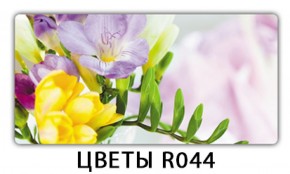 Обеденный раздвижной стол Бриз с фотопечатью Цветы R044 в Тавде - tavda.mebel-74.com | фото