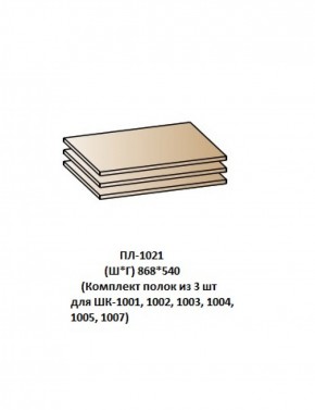 ПЛ-1021 (Комплект полок из 3 шт для ШК-1001, 1002, 1003, 1004, 1005, 1007) в Тавде - tavda.mebel-74.com | фото