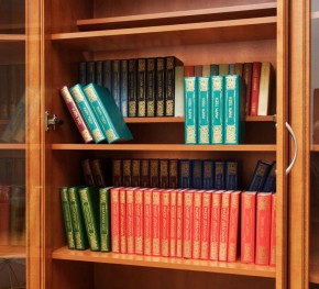 Шкаф для книг арт. 200 в Тавде - tavda.mebel-74.com | фото