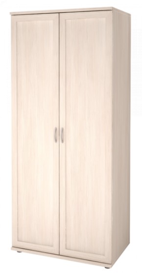 Шкаф для одежды 2-х дверный Ника-Люкс 21 в Тавде - tavda.mebel-74.com | фото