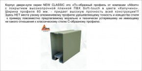 Шкаф-купе 1700 серии NEW CLASSIC K3+K3+B2+PL1 (2 ящика+1 штанга) профиль «Капучино» в Тавде - tavda.mebel-74.com | фото
