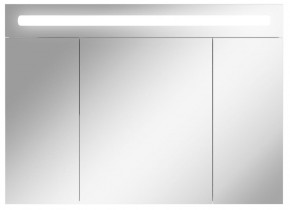 Шкаф-зеркало Аврора 100 с подсветкой LED Домино (DV8012HZ) в Тавде - tavda.mebel-74.com | фото