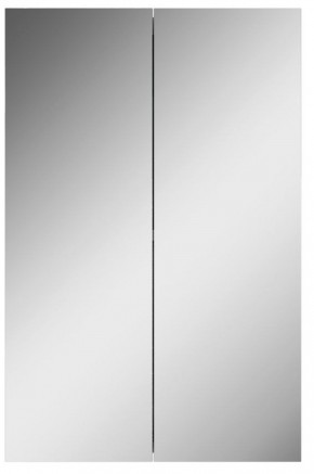 Шкаф-зеркало Норма 45 2 двери АЙСБЕРГ (DA1635HZ) в Тавде - tavda.mebel-74.com | фото