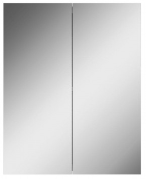 Шкаф-зеркало Норма 55 2 двери АЙСБЕРГ (DA1638HZ) в Тавде - tavda.mebel-74.com | фото