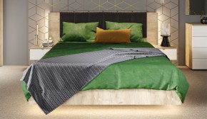Спальня Джулия Кровать 160 МИ с подъемным механизмом Дуб крафт серый в Тавде - tavda.mebel-74.com | фото