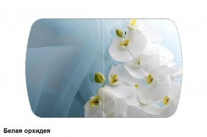 Стол Бостон 900*600 (опоры Брифинг) Стекло/фотопечать Белая Орхидея в Тавде - tavda.mebel-74.com | фото