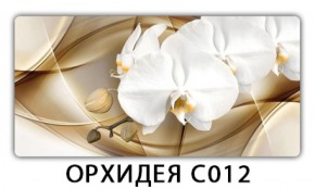 Стол раздвижной Трилогия с фотопечатью Орхидея C012 в Тавде - tavda.mebel-74.com | фото